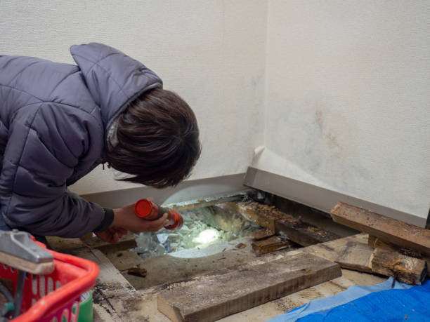 Best Real Estate Mold Inspection  in Raubsville, PA