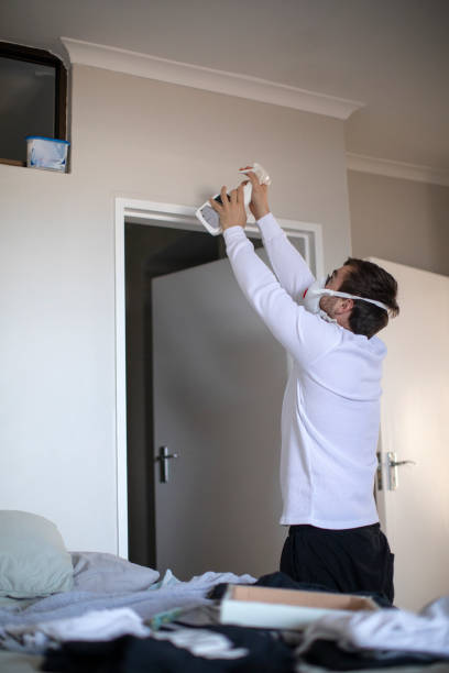 Best Air Quality Testing for Mold Spores  in Raubsville, PA