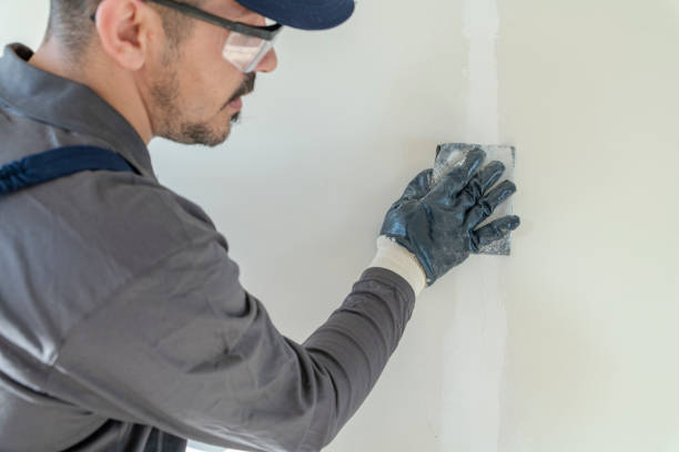 Best Basement Mold Removal  in Raubsville, PA