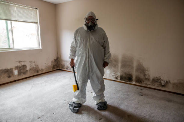 Trusted Raubsville, PA Mold Removal Experts