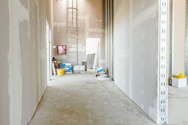 Best Black Mold Removal  in Raubsville, PA